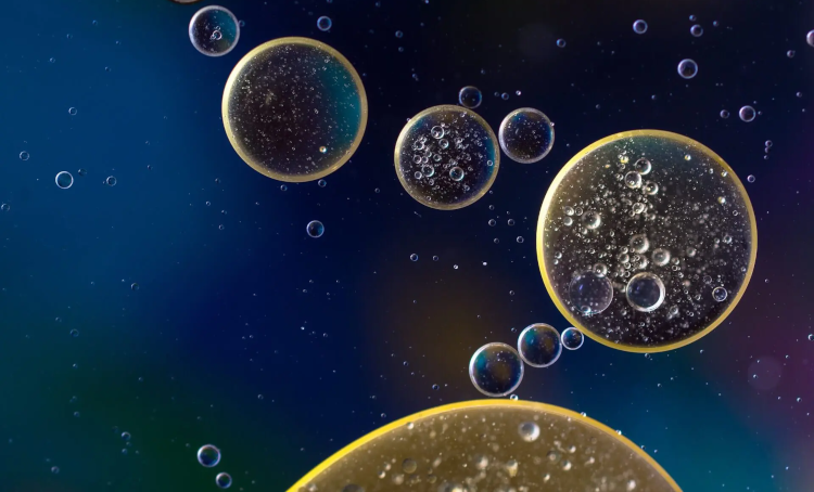 Floating oil bubbles